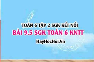 Bài 9.5 SGK Toán 6 tập 2 Kết nối tri thức: Phương pháp thu thập dữ liệu